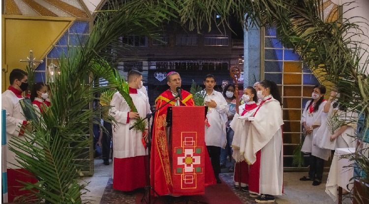 Santa Missa do Domingo de Ramos reúne fiéis por toda a Diocese